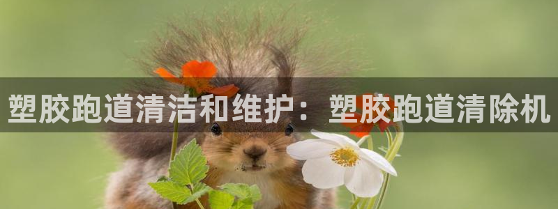 尊龙凯时网娱乐最新版：塑胶跑道清洁和维护：塑胶跑道清除机