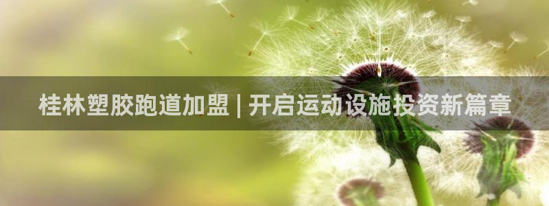 尊龙Ag：桂林塑胶跑道加盟 | 开启运动设施投资新篇