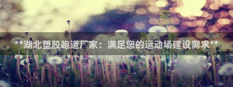 凯时平台官网RA来就送38：**湖北塑胶跑道厂家：满