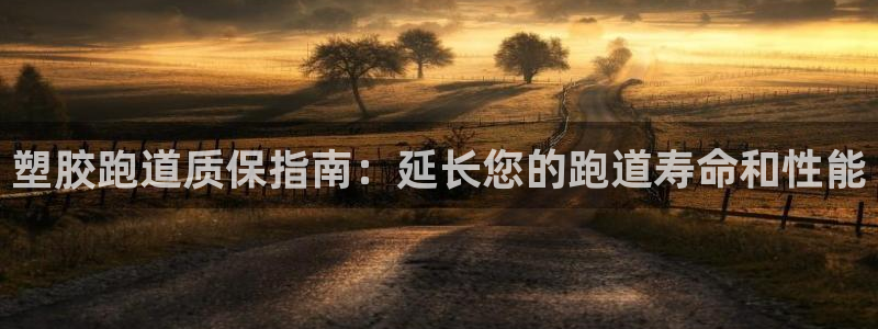 尊龙一人生就是搏：塑胶跑道质保指南：延长您的跑道寿命和性能