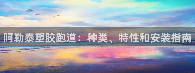 尊龙ag旗舰厅官网登录：阿勒泰塑胶跑道：种类、特性和安装指南