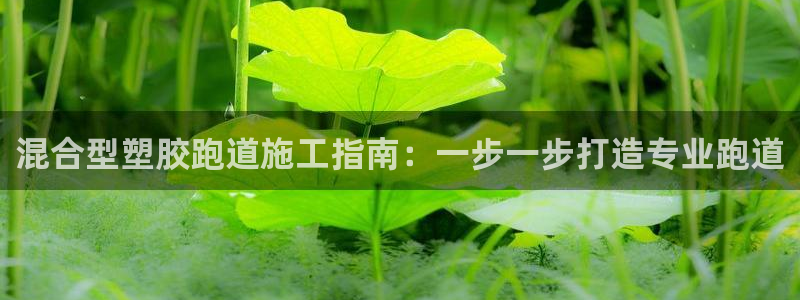 尊龙 贴吧：混合型塑胶跑道施工指南：一步一步打造专业跑道