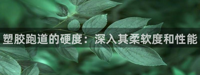 尊龙凯时 人生就是搏首页：塑胶跑道的硬度：深入其柔软度和性能
