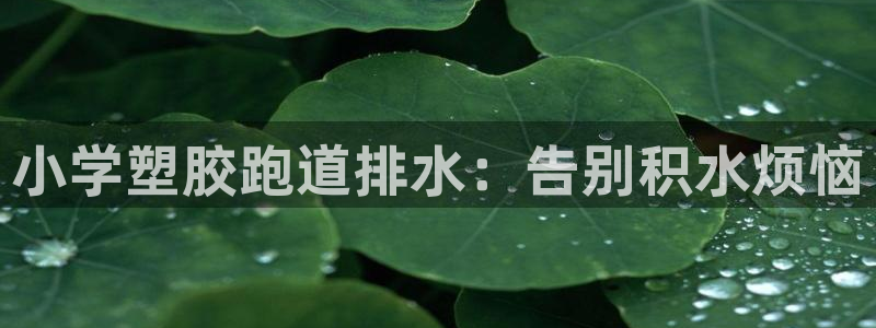 尊龙凯时 - 人生就是搏!提款怎么样：小学塑胶跑道排