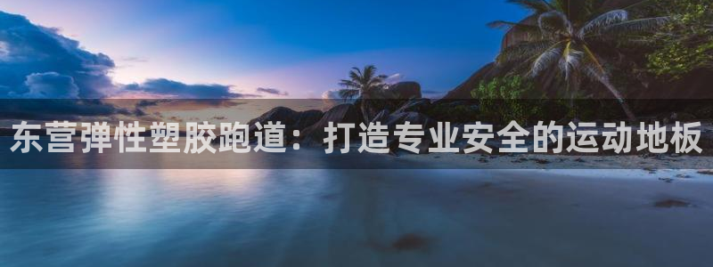 尊龙人生就要博旧版：东营弹性塑胶跑道：打造专业安全的运动地板