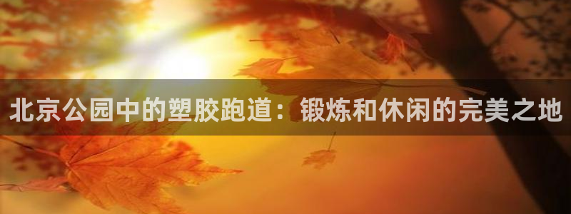 尊龙人生就是博AG旗舰厅：北京公园中的塑胶跑道：锻炼和休闲的完美之地