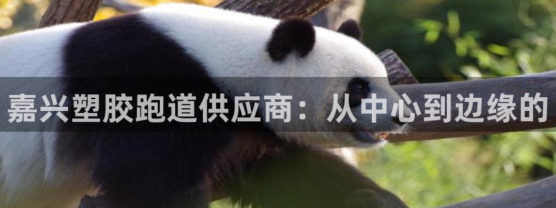 尊龙凯时人生就是搏官方网站