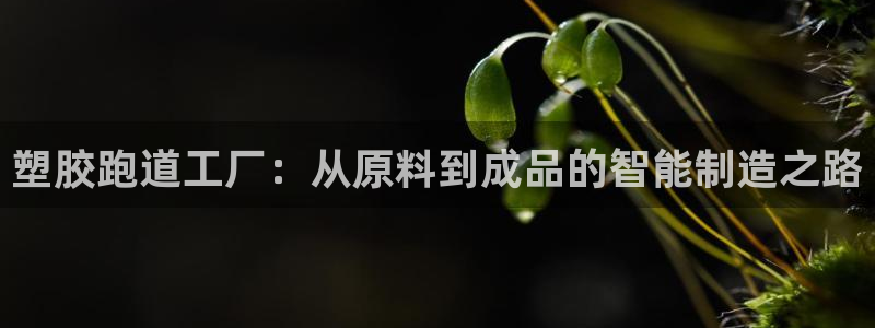 尊龙ag旗舰厅官网·(中国)官方入口