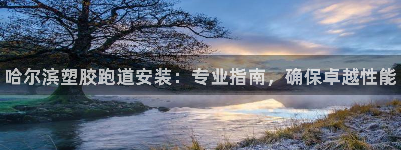 z6尊龙凯时旗舰厅：哈尔滨塑胶跑道安装：专业指南，确