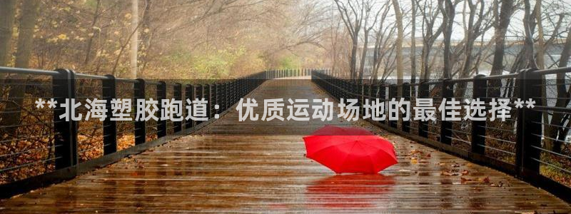 尊龙手机版下载：**北海塑胶跑道：优质运动场地的最佳