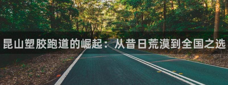 尊龙网址是选访问zd207