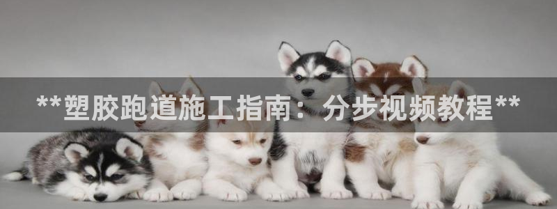 尊龙凯时总部在哪里：**塑胶跑道施工指南：分步视频教程**