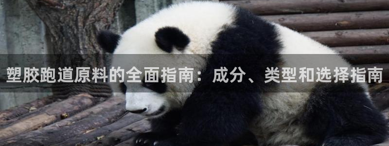 尊龙凯时品牌介绍：塑胶跑道原料的全面指南：成分、类型和选择指