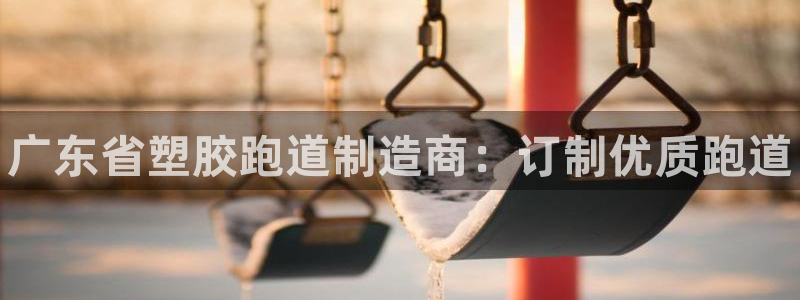 尊龙人生就是博网站：广东省塑胶跑道制造商：订制优质跑