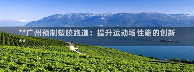 尊龙凯时人生就是搏 品牌专区：**广州预制塑胶跑道：提升运动场性能的创新
**