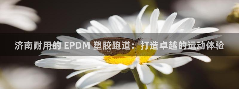 凯时游戏官方网站：济南耐用的 EPDM 塑胶跑道：打