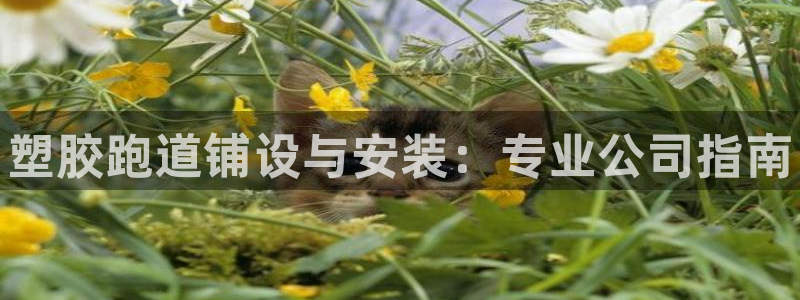 z6尊龙凯时旗舰厅：塑胶跑道铺设与安装：专业公司指南