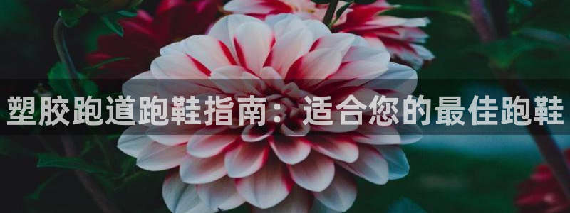 尊龙凯时几百万怎么下款：塑胶跑道跑鞋指南：适合您的最