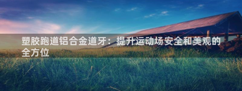 z6尊龙凯时旗舰厅：塑胶跑道铝合金道牙：提升运动场安全和美观的
全方位