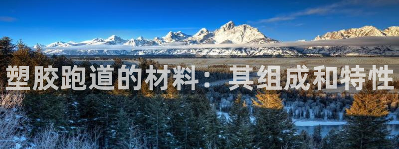 尊龙凯时官网：塑胶跑道的材料：其组成和特性