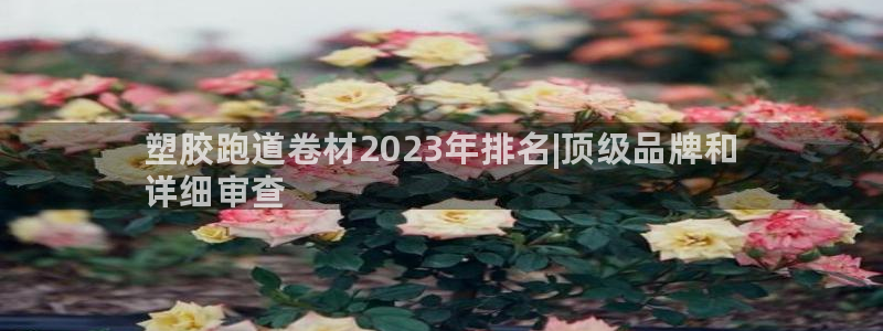 尊龙网站注册站注册：塑胶跑道卷材2023年排名|顶级