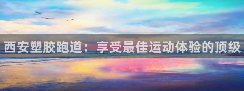 尊龙凯时城游戏官网：西安塑胶跑道：享受最佳运动体验的