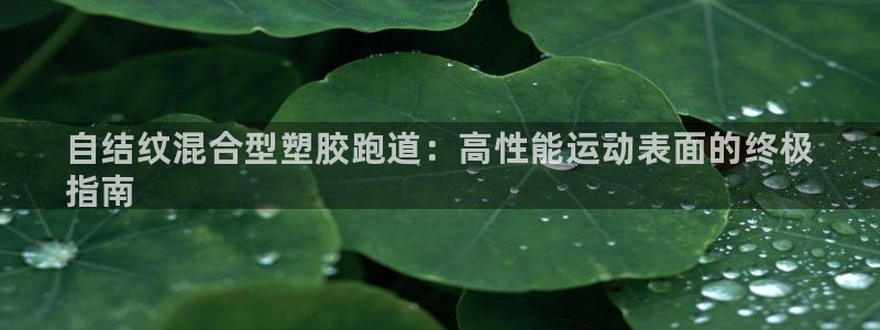 尊龙凯时开发：自结纹混合型塑胶跑道：高性能运动表面的终极
指南