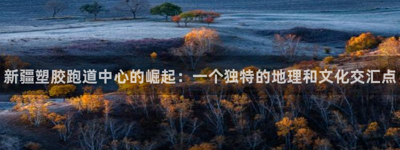 尊龙凯时网站登录：新疆塑胶跑道中心的崛起：一个独特的地理和文